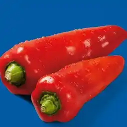 Lidl Rote Spitzpaprika Angebot