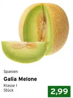CAP Markt Galia Melone Angebot