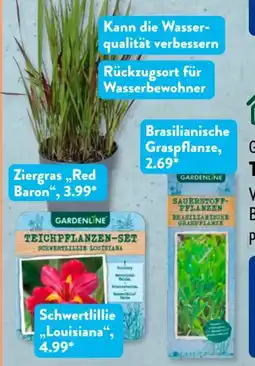 Aldi Süd Gardenline Teichpflanzen Angebot