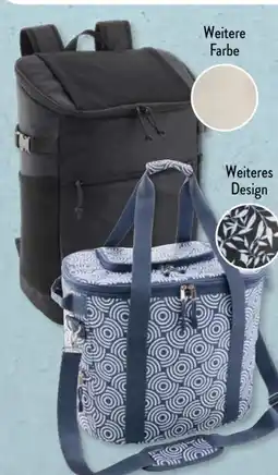 Aldi Süd Live in Style Picknick-Kühltasche Angebot