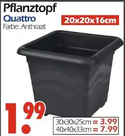 Wreesmann Pflanztopf quattro 20x20x16cm Angebot