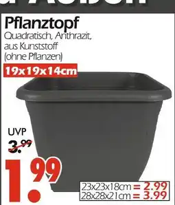 Wreesmann Pflanztopf 19x19x14cm Angebot