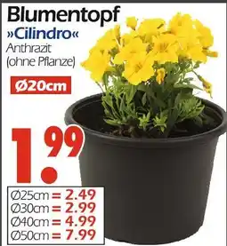 Wreesmann Blumentopf cilindro Angebot