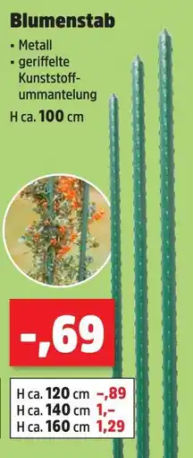 Thomas Philipps Blumenstab Angebot