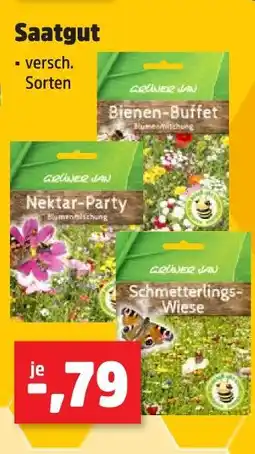 Thomas Philipps Saatgut Angebot
