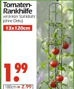 Wreesmann Tomaten-rankhilfe Angebot