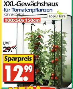 Wreesmann Top flora xxl-gewächshaus für tomatenpflanzen Angebot