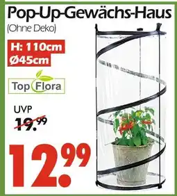 Wreesmann Top flora pop-up-gewächs-haus Angebot