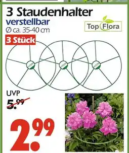 Wreesmann Top flora 3 staudenhalter Angebot
