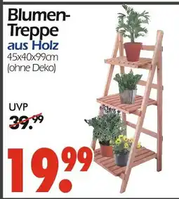 Wreesmann Blumen-treppe Angebot