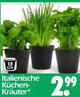 Wreesmann Italienische küchen-kräuter Angebot