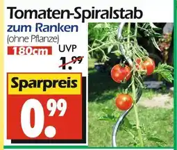 Wreesmann Tomaten-spiralstab Angebot