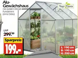 Wreesmann Top flora alu-gewächshaus Angebot