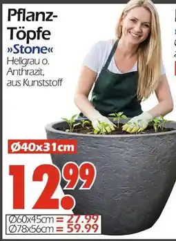 Wreesmann Pflanz-töpfe stone Angebot