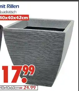 Wreesmann Mit rillen quadratisch Angebot