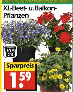 Wreesmann Xl-beet- und balkon-pflanzen Angebot
