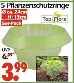 Wreesmann Top flora pflanzenschutzringe Angebot