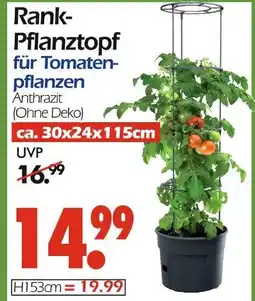 Wreesmann Rank-pflanztopf Angebot