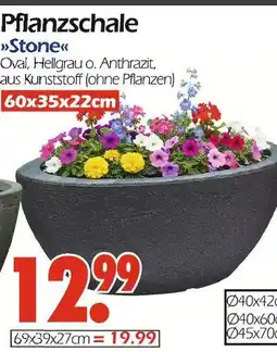 Wreesmann Pflanzschale stone oval hellgrau o. anthrazit Angebot