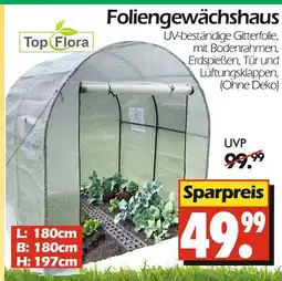 Wreesmann Top flora foliengewächshaus Angebot