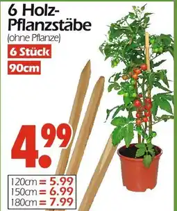 Wreesmann Holz-pflanzstäbe Angebot