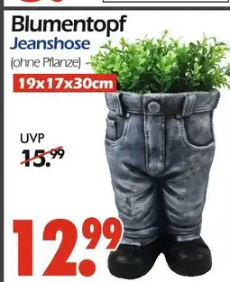 Wreesmann Blumentopf jeanshose Angebot