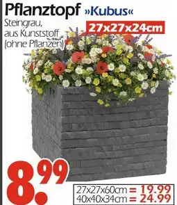 Wreesmann Pflanztopf kubus Angebot