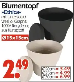 Wreesmann Blumentopf ethica Angebot