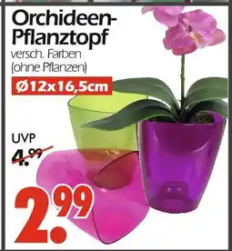 Wreesmann Orchideen-pflanztopf Angebot