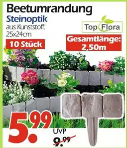 Wreesmann Top flora beetumrandung steinoptik Angebot