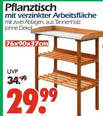 Wreesmann Pflanztisch Angebot