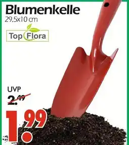 Wreesmann Top flora blumenkelle Angebot