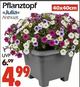 Wreesmann Pflanztopf julia Angebot
