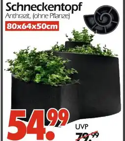 Wreesmann Schneckentopf anthrazit Angebot