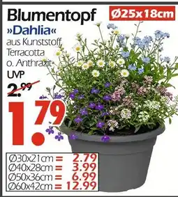 Wreesmann Blumentopf dahlia Angebot