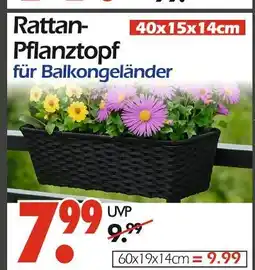Wreesmann Rattan-pflanztopf Angebot