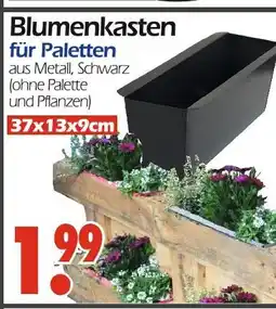 Wreesmann Blumenkasten für paletten Angebot