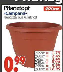 Wreesmann Pflanztopf campana Angebot