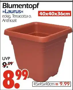 Wreesmann Blumentopf laurus Angebot