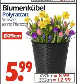 Wreesmann Blumenkübel polyrattan Angebot