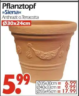 Wreesmann Pflanztopf siena Angebot