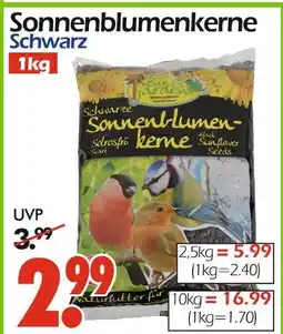 Wreesmann Schwarze sonnenblumenkerne Angebot