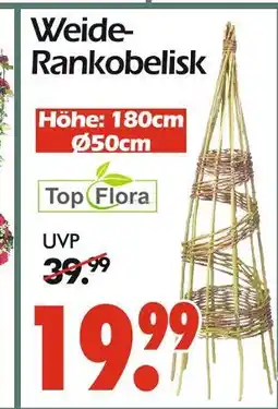 Wreesmann Top flora weide-rankobelisk Angebot