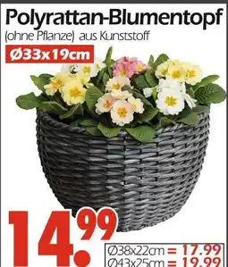 Wreesmann Polyrattan-blumentopf ø33x19cm Angebot