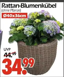 Wreesmann Rattan-blumenkübel Angebot