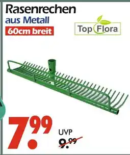 Wreesmann Top flora rasenrechen Angebot