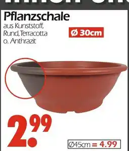 Wreesmann Pflanzschale ø30cm Angebot