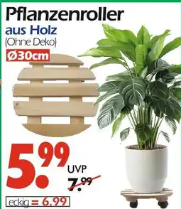 Wreesmann Pflanzenroller aus holz Angebot