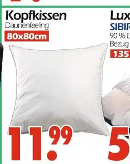 Wreesmann Kopfkissen daunenfeeling Angebot