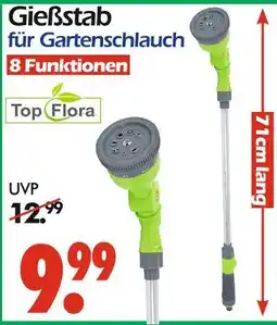 Wreesmann Top flora gießstab für gartenschlauch Angebot